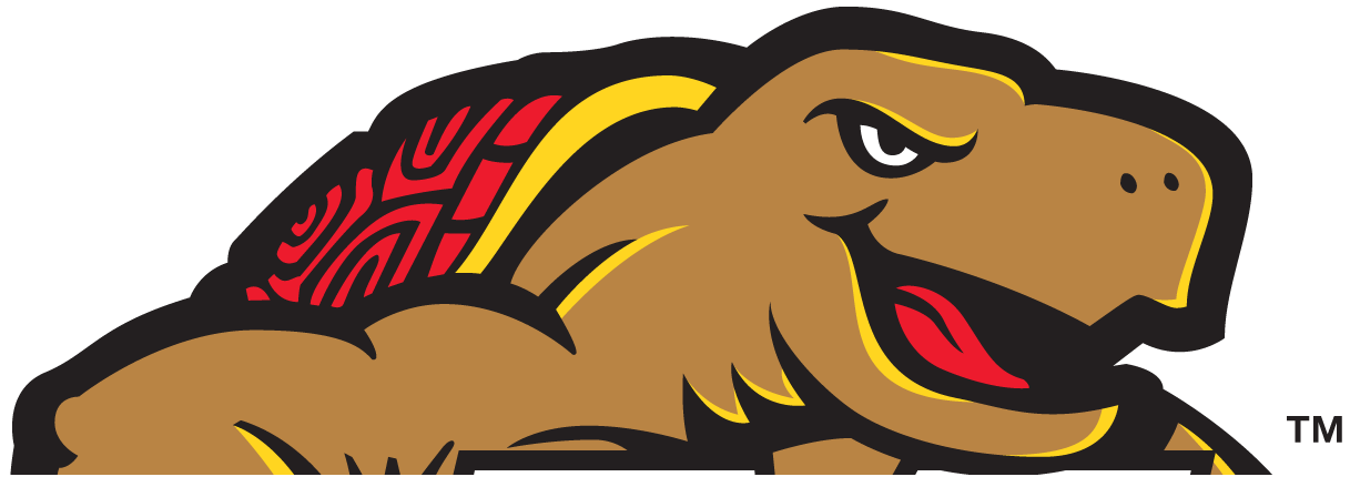 Maryland Terrapins 1997-Pres Partial Logo diy iron on heat transfer